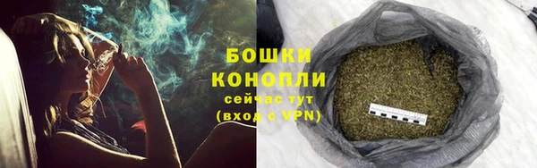 PSILOCYBIN Белокуриха