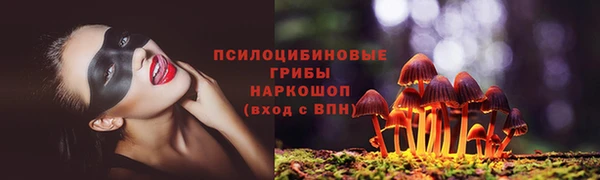 PSILOCYBIN Белокуриха